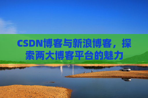 CSDN博客与新浪博客，探索两大博客平台的魅力